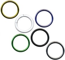 SEGMENTRING PIERCING UNIVERSAL LIPPE NASE OHR BRUST SEPTUM HELIX TRAGUS DAITH