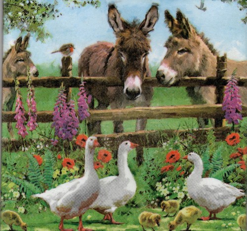 Dekobild esel zaun gänse - esel,