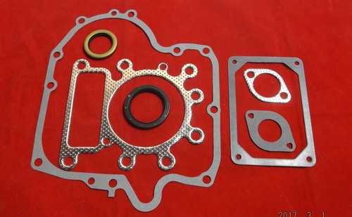 Dichtsatz für briggs stratton - briggs,