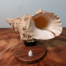 Originale Meeres-Muschellampe