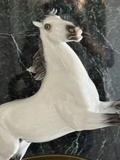 Porzellan Pferd Horse Hengst
