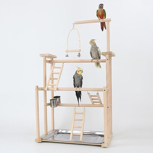 Vogelspielzeug wellensittich - vogelspielzeug,