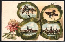 Passepartout-Lithographie Ulm / Donau, Schneider von Ulm, Ulmer Spatz, Ortsansi 