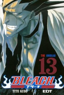 Bleach shonen manga band - bleach, 13