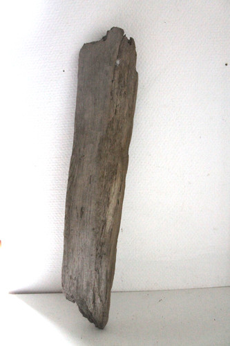 Schwemmholz treibholz brett - treibholz,