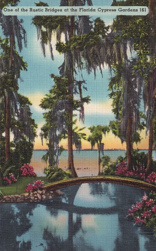 Postkarte usa florida - /,