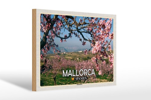 Holzschild reise 30x20 - 30x20, cm