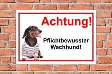 Schild Hund  Dackel Achtung