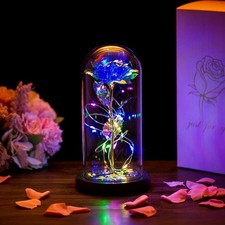LED Ewige Rose im Glas für