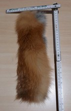 Echt Fell Rest Rotfuchs   ca 7