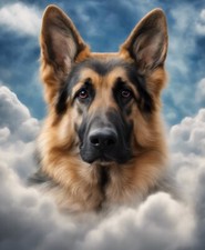 German Shepherd Dog Sticker