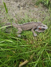 Gartenfigur Dekofigur