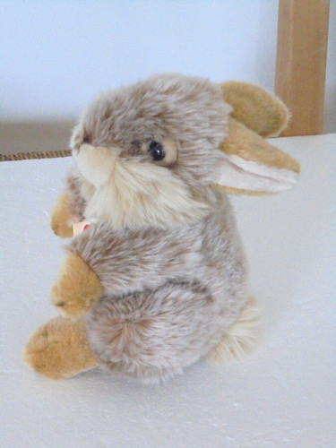 Plüschtier stofftier teddy - stofftier,