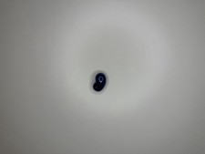 Samsung Galaxy Buds Live