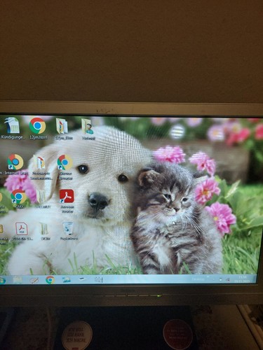 Zoll monitor - 19,