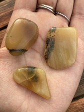 Lot DENDRITE OPAL Tumbled