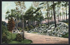 Grube Ilse, Partie im Volkspark, Spaziergänger, Ansichtskarte 