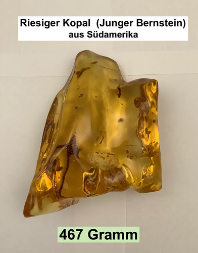 Wunderschöner junger - wunderschöner,