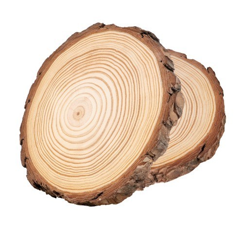 Holzscheiben stück - 2,