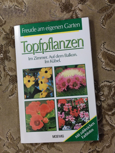 Buch topfpflanzen im - topfpflanzen,