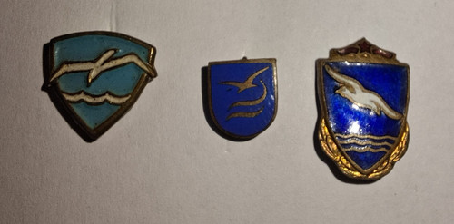 Udssr abzeichen burewestnik - abzeichen,
