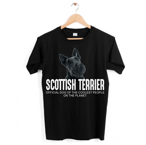 Scottish terrier scottie - terrier, hund