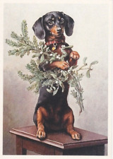 Lustige Postkarte * DACKEL * TECKEL *  postcard #  14