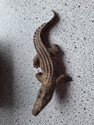 Schleich krokodil 14736 - schleich,