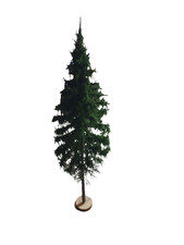 Diorama Modell Nadelbäume