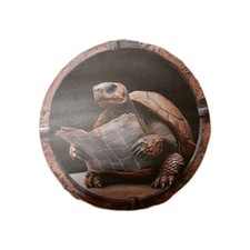 Metallschilder Schildkröte Rund 20cm Rückseite Kleine Delle Und Kratzer 