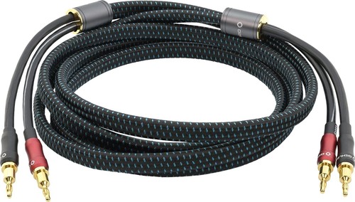 Oehlbach transform dual plug - dual,