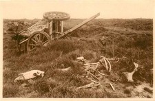 Poelcapelle Poelkapelle Ypern West-Vlaanderen Belgie Getoetete Pferde und zersch