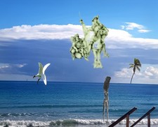 fotodruck fotokunst Don