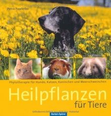 Heilpflanzen für tiere - heilpflanzen,