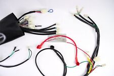 Kabelbaum  Jinling Jla 931e 300ccm 276ccm China Quad ATV Jingling Elektrik