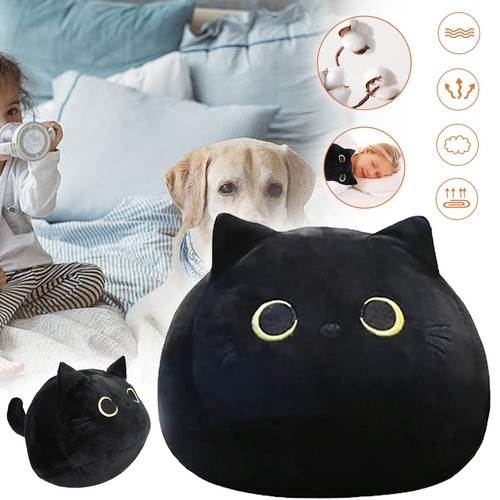 Süßes katze plüschtiere - süßes,