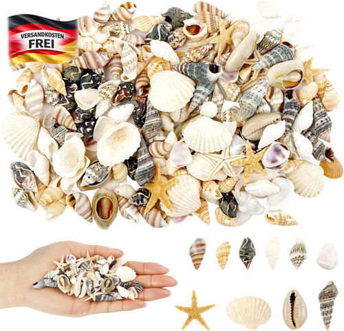 200 stück muscheln - 200,