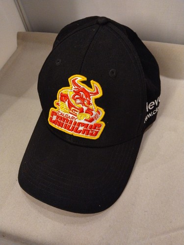Calgary canucks eishockey - canucks,