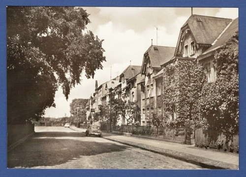 Neustrelitz 1964