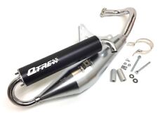 Sportauspuff für Piaggio TPH