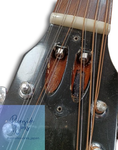 Guild akustikgitarre f112 - guild, f112-nt