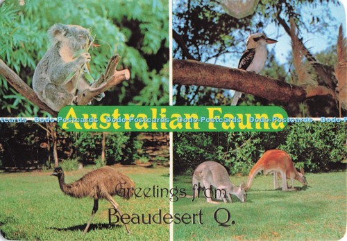 D282846 australische fauna - d282846,
