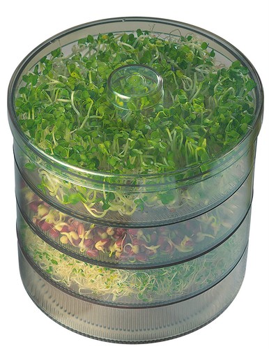 Kiepenkerl keimsprossenbox - kiepenkerl,