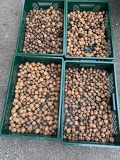 3kg Walnüsse BIO unbehandelt