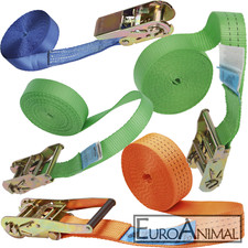 Spanngurt 1-teilig Zurrgurt-e 25-50mm, 5m-10m 800-4000kg einteilig Ratschengurt