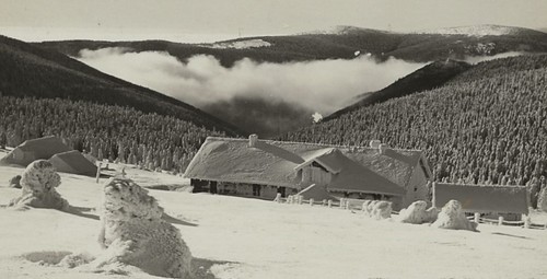 544 winter im - 42/544, ak