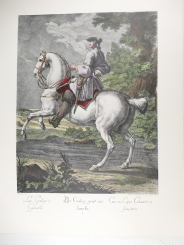Johann elias ridinger galop - johann,
