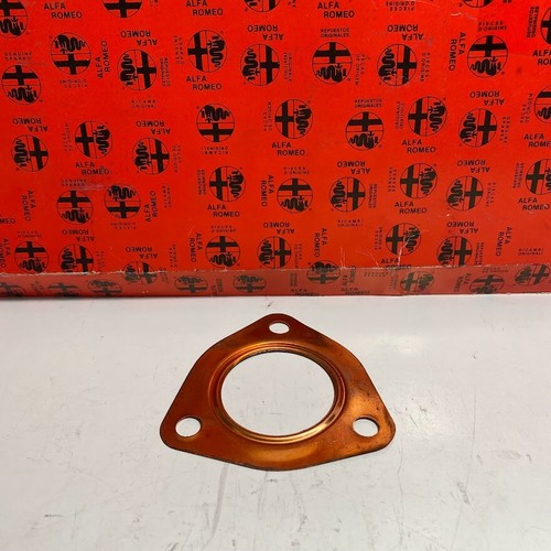 Gasket for drain pipe - , alfa