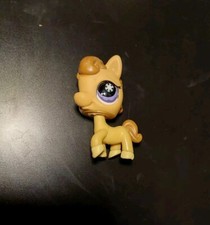 Littlest Pet Shop LPS 684 Pferd Horse Pony Braun Chilliest Sleddin Fun Hasbro
