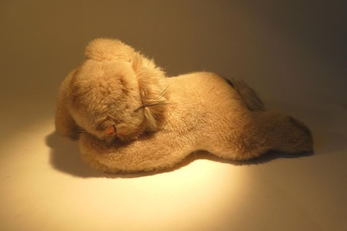 Alter steiff hase - alter, floppy